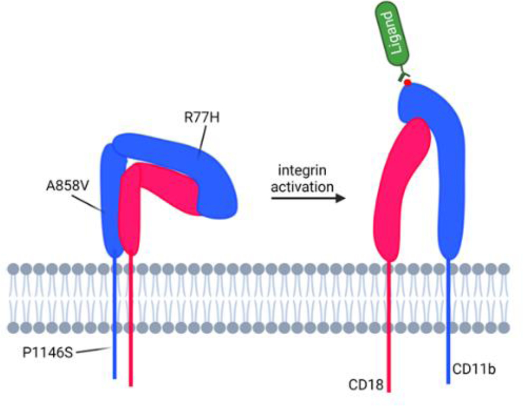 Figure 2.