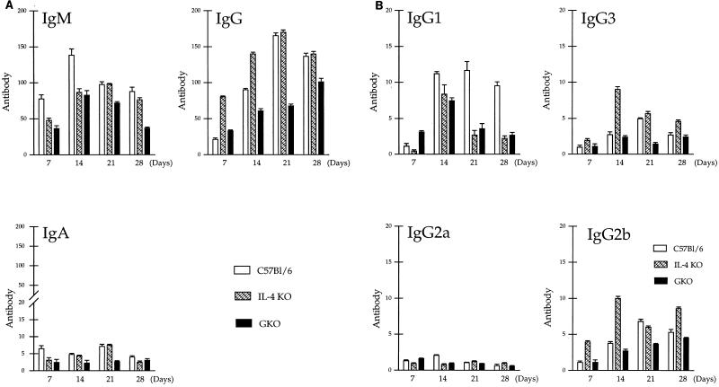 FIG. 7