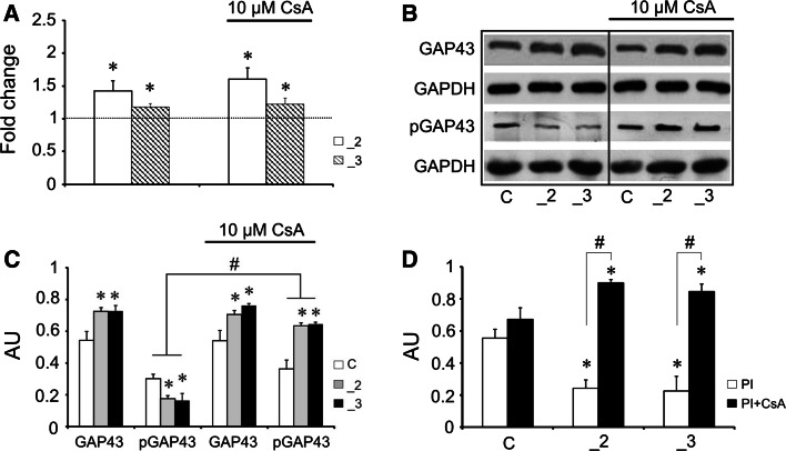 Fig. 2