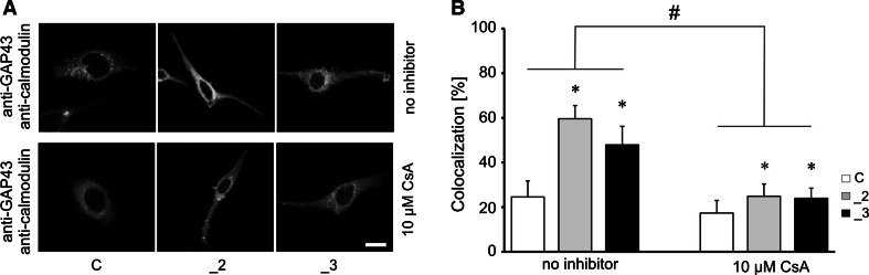 Fig. 4