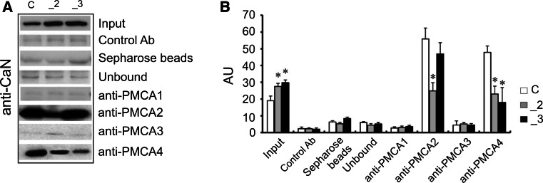 Fig. 7