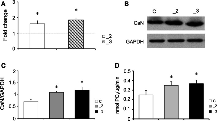 Fig. 6