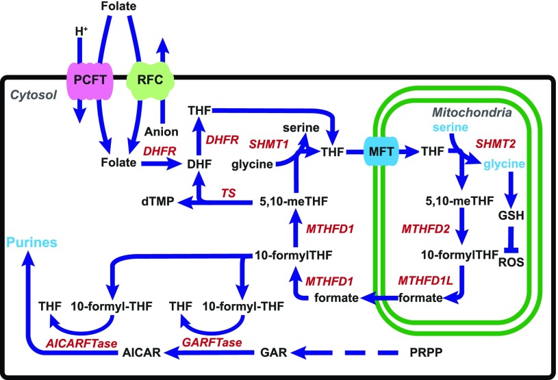 Fig. 1.