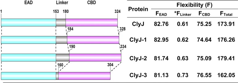 FIG 1