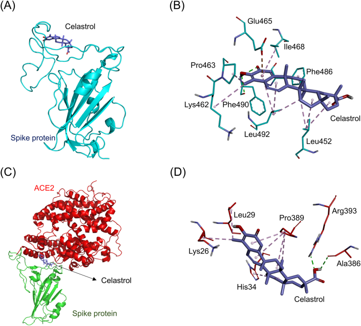 Fig. 6