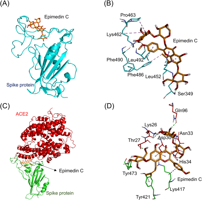 Fig. 8