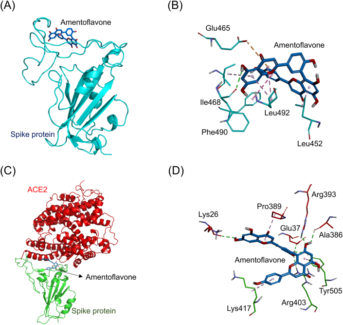 Fig. 10