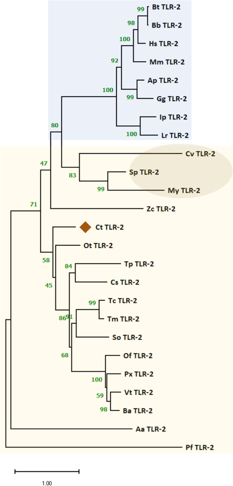 Fig. 10