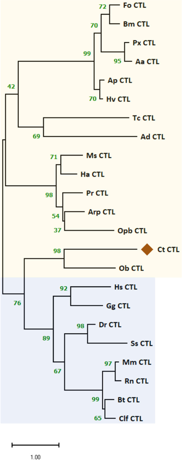 Fig. 11
