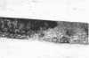 <b>Figure 1</b>