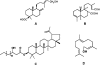 <b>Figure 3</b>