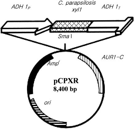 FIG. 1.