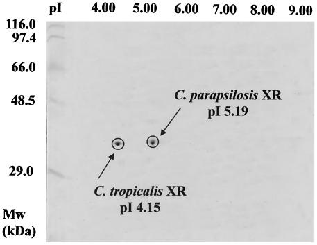 FIG. 7.