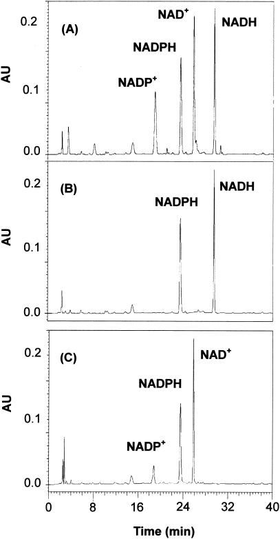 FIG. 3.