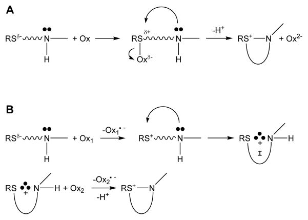 Scheme 2