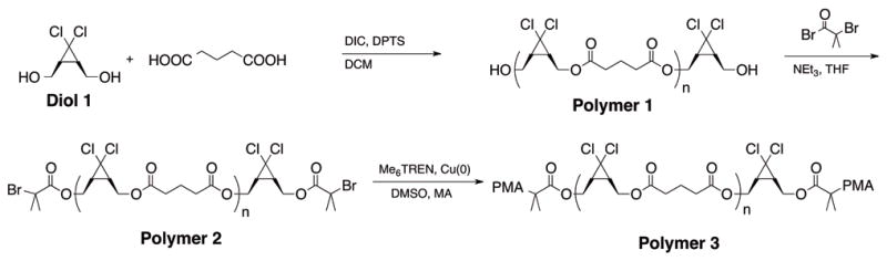 Scheme 1