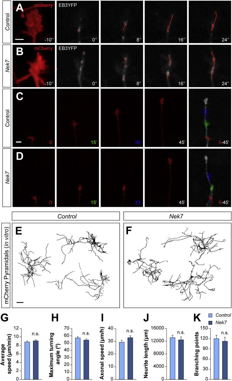 Figure 5