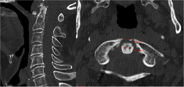 Fig. 5