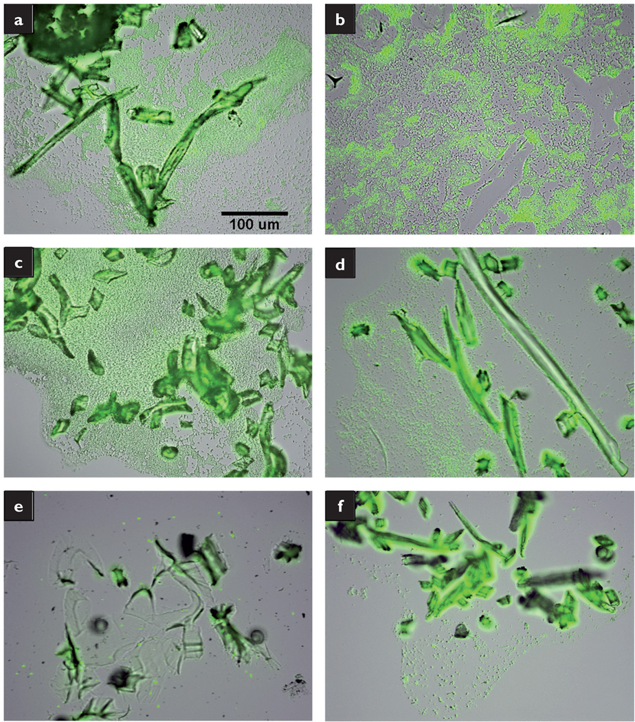 Fig 6