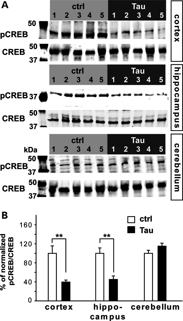 Figure 2.