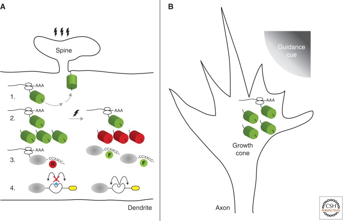 Figure 3.