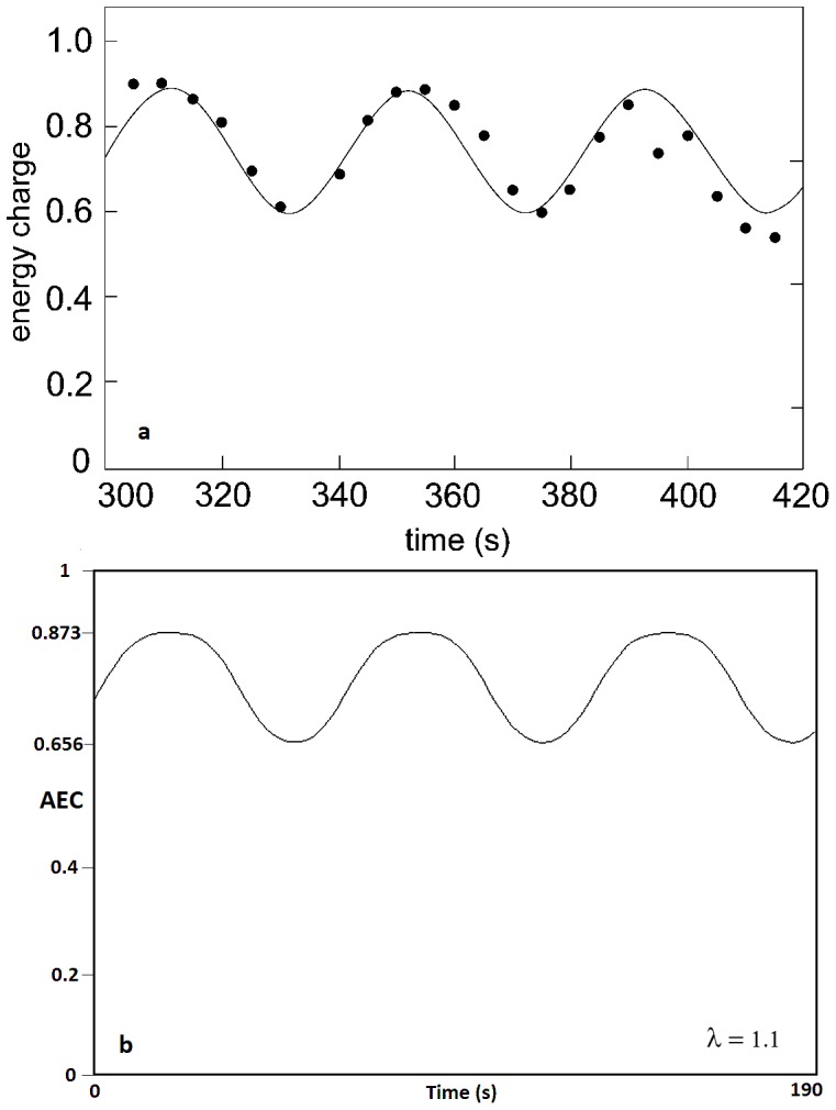 Figure 8