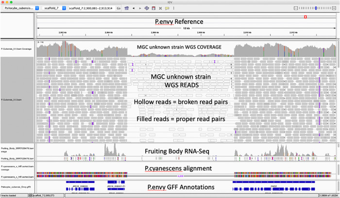 Figure 3. 