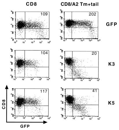 FIG. 7