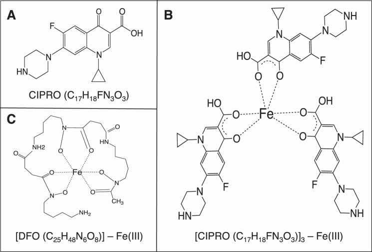 FIGURE 1.