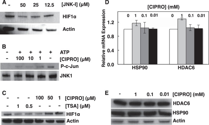 FIGURE 10.