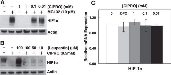 FIGURE 11.