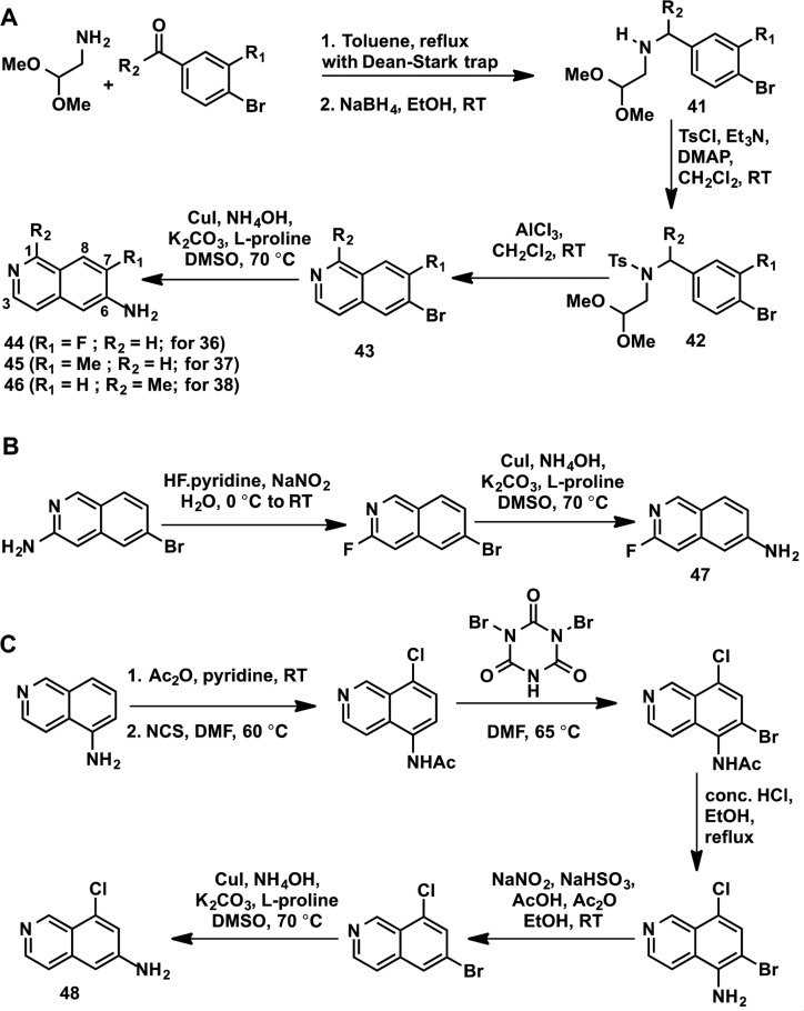 Scheme 2