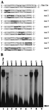 FIG. 7