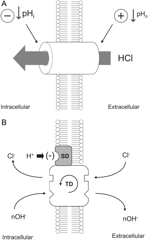 FIGURE 9