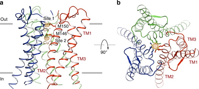 Fig. 4