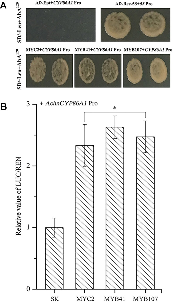 Figure 5