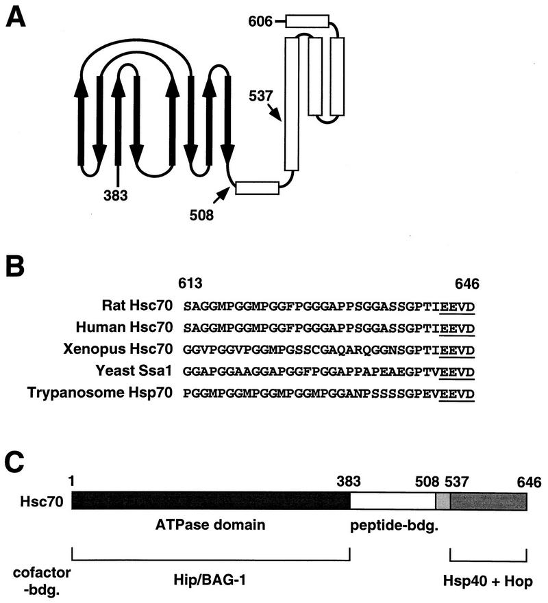 FIG. 8