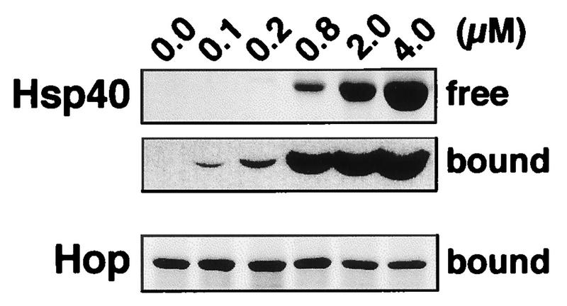 FIG. 6