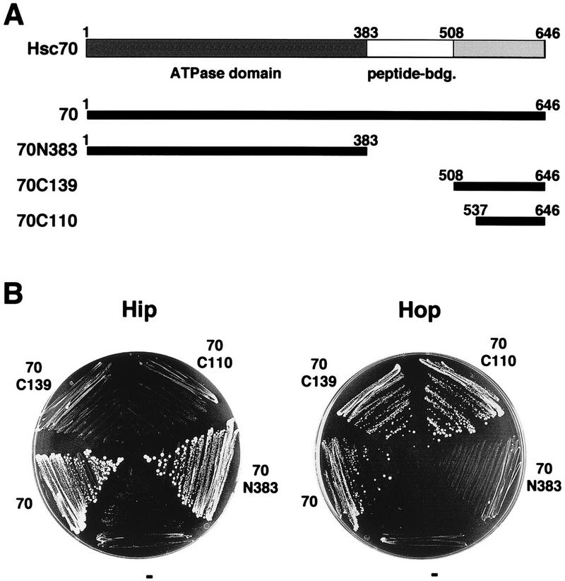 FIG. 1