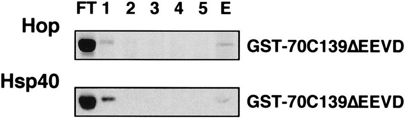 FIG. 5