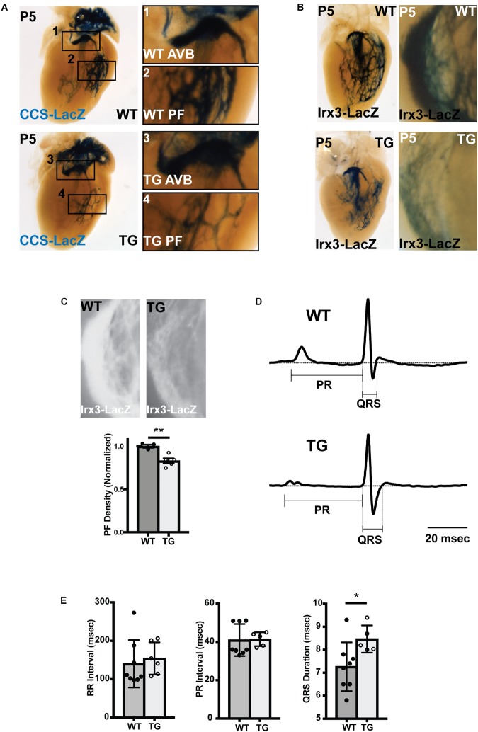 FIGURE 3