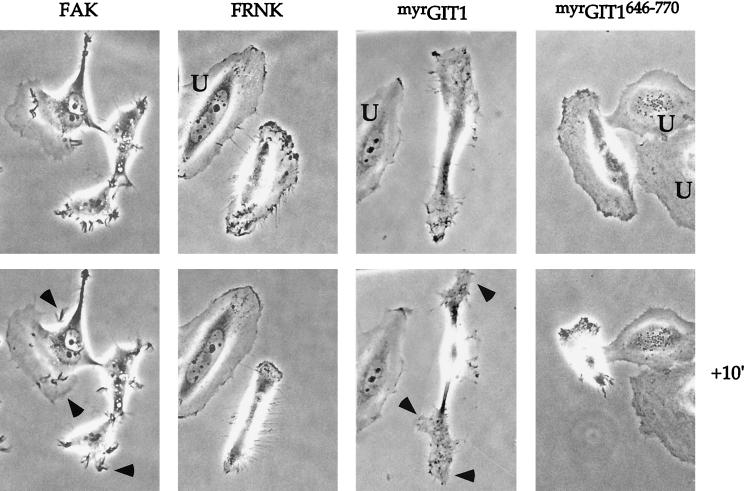 FIG. 7