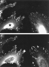 FIG. 8