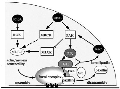 FIG. 10