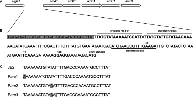 FIG 3