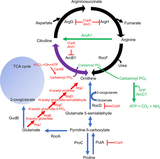 FIG 1