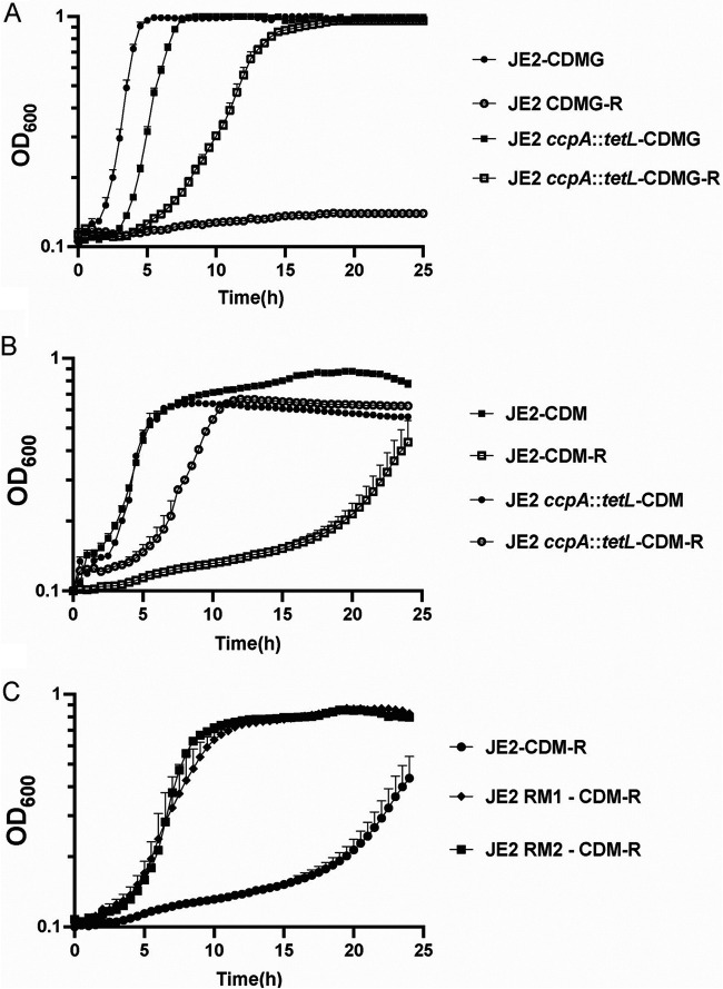 FIG 2