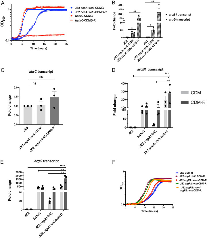 FIG 6