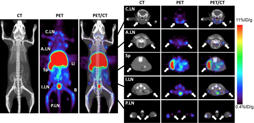 Fig. 4.