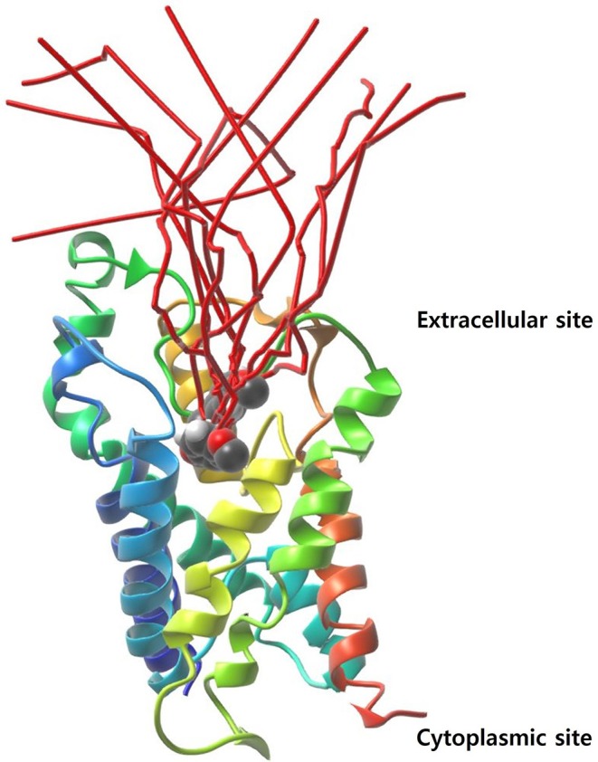 Figure 6